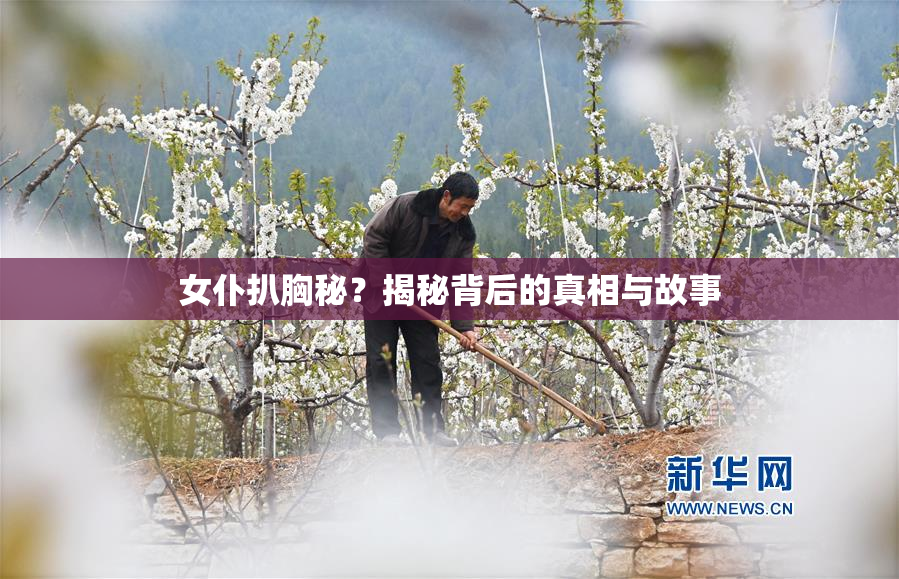 女仆扒胸秘？揭秘背后的真相与故事