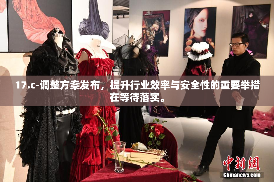 17.c-调整方案发布，提升行业效率与安全性的重要举措在等待落实。