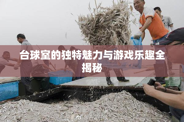 台球室的独特魅力与游戏乐趣全揭秘