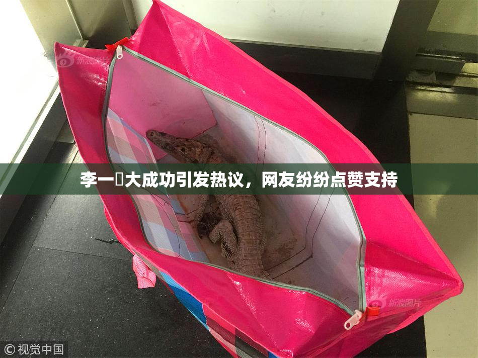 李一挏大成功引发热议，网友纷纷点赞支持
