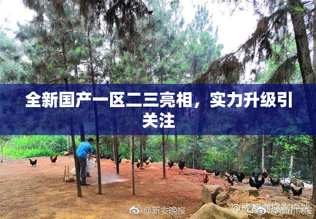 全新国产一区二三亮相，实力升级引关注