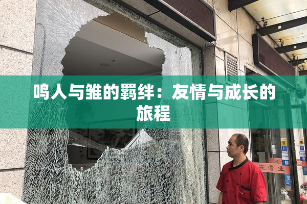 鸣人与雏的羁绊：友情与成长的旅程