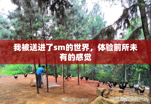 我被送进了sm的世界，体验前所未有的感觉