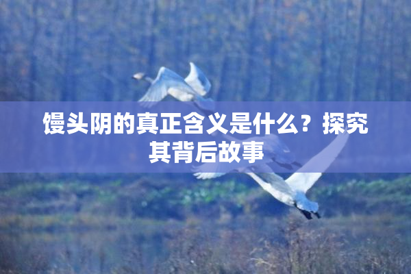 馒头阴的真正含义是什么？探究其背后故事