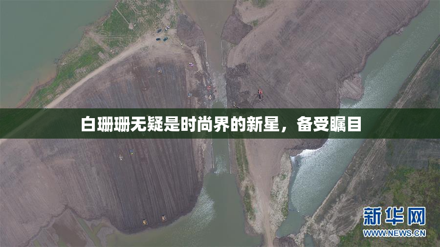 白珊珊无疑是时尚界的新星，备受瞩目