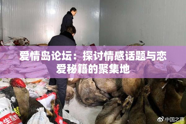 爱情岛论坛：探讨情感话题与恋爱秘籍的聚集地