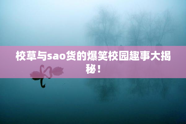 校草与sao货的爆笑校园趣事大揭秘！