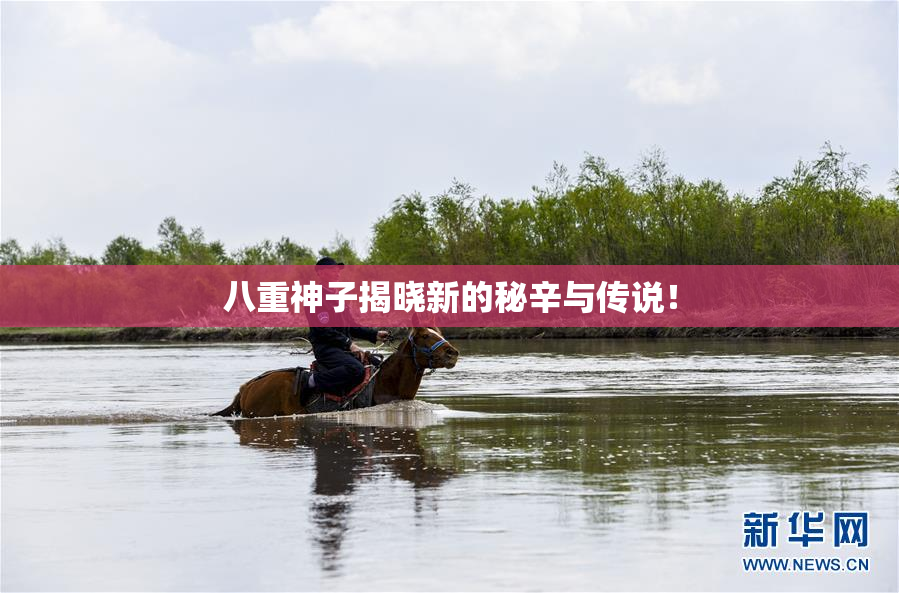八重神子揭晓新的秘辛与传说！