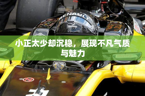 小正太少却沉稳，展现不凡气质与魅力