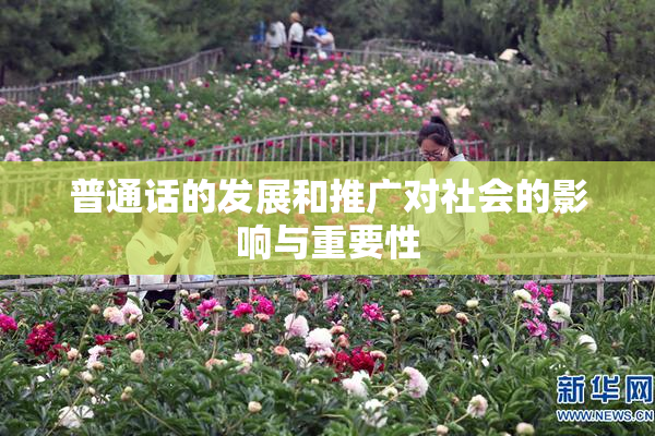 普通话的发展和推广对社会的影响与重要性