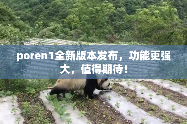 poren1全新版本发布，功能更强大，值得期待！