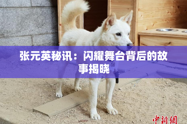 张元英秘讯：闪耀舞台背后的故事揭晓
