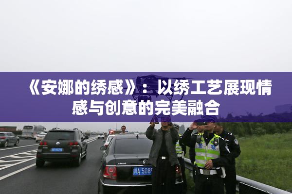 《安娜的绣感》：以绣工艺展现情感与创意的完美融合