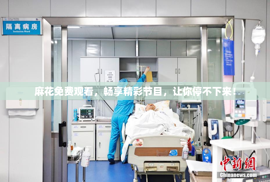 麻花免费观看，畅享精彩节目，让你停不下来！