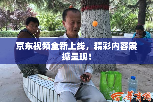 京东视频全新上线，精彩内容震撼呈现！
