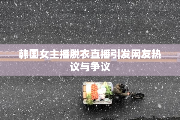 韩国女主播脱衣直播引发网友热议与争议