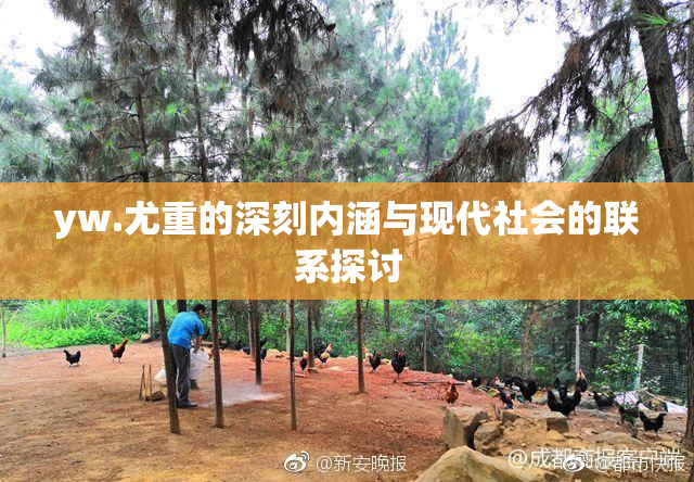 yw.尤重的深刻内涵与现代社会的联系探讨