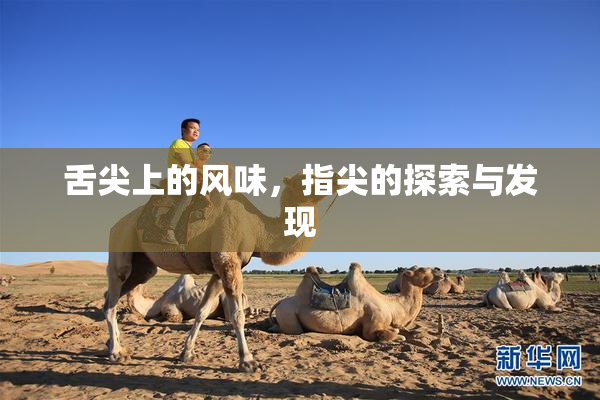 舌尖上的风味，指尖的探索与发现