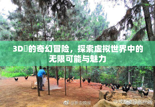 3D姉的奇幻冒险，探索虚拟世界中的无限可能与魅力