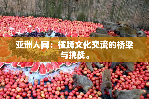亚洲人同：横跨文化交流的桥梁与挑战。