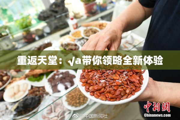 重返天堂：√a带你领略全新体验