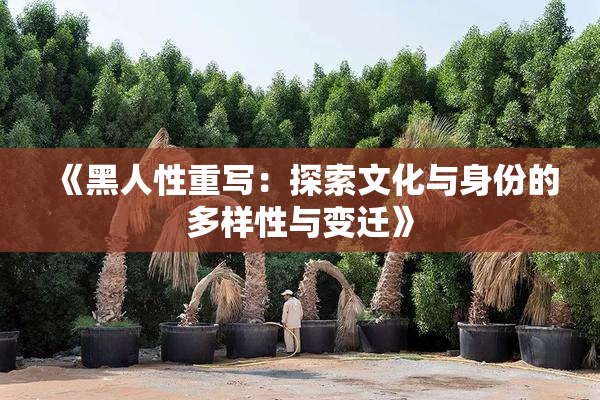《黑人性重写：探索文化与身份的多样性与变迁》