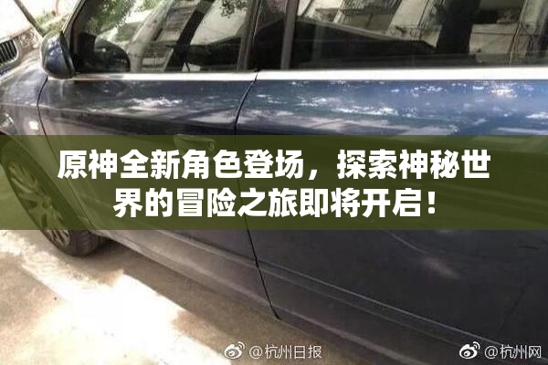 原神全新角色登场，探索神秘世界的冒险之旅即将开启！