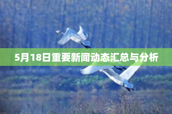 5月18日重要新闻动态汇总与分析