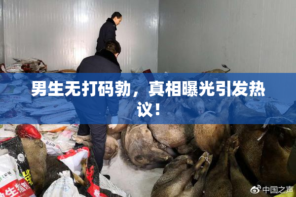 男生无打码勃，真相曝光引发热议！