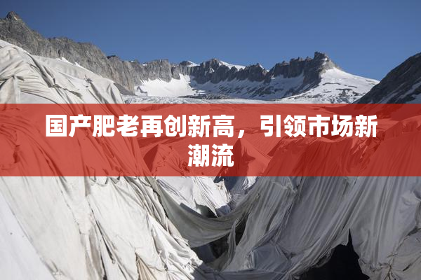 国产肥老再创新高，引领市场新潮流