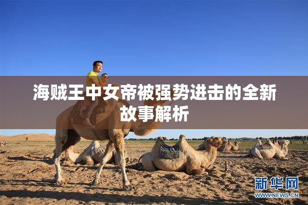 海贼王中女帝被强势进击的全新故事解析