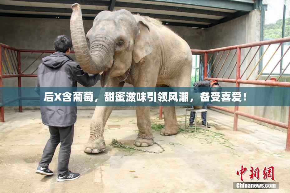 后X含葡萄，甜蜜滋味引领风潮，备受喜爱！
