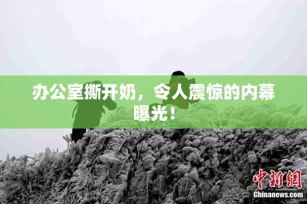 办公室撕开奶，令人震惊的内幕曝光！