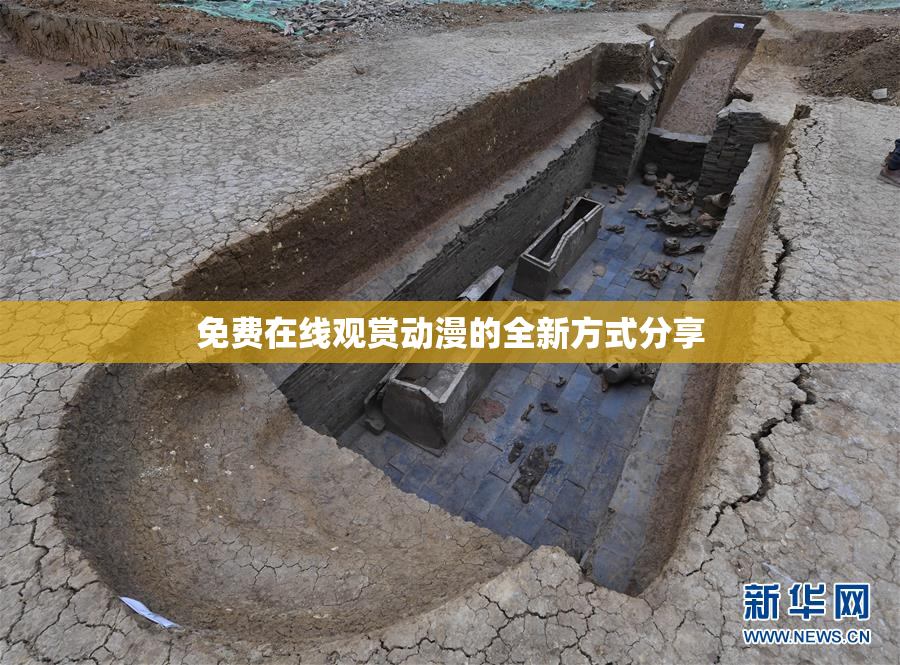 免费在线观赏动漫的全新方式分享