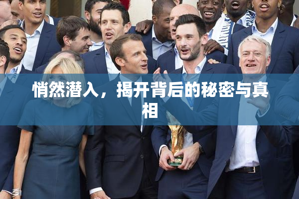 悄然潜入，揭开背后的秘密与真相