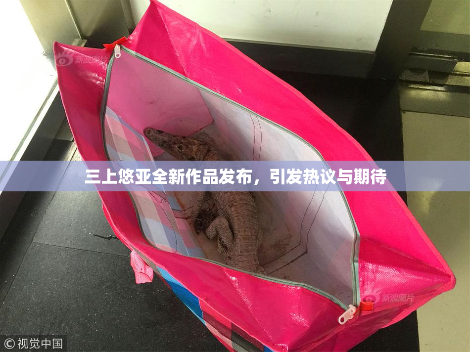 三上悠亚全新作品发布，引发热议与期待