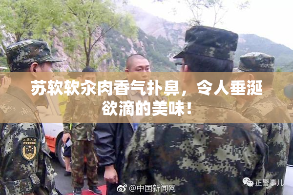 苏软软汆肉香气扑鼻，令人垂涎欲滴的美味！