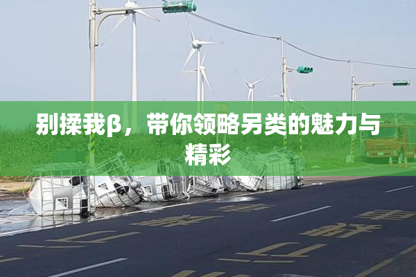 别揉我β，带你领略另类的魅力与精彩