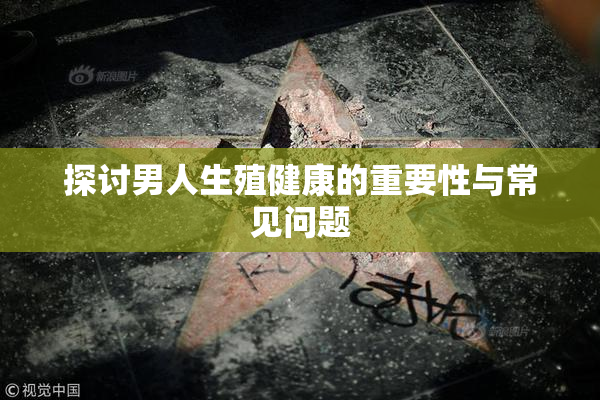 探讨男人生殖健康的重要性与常见问题