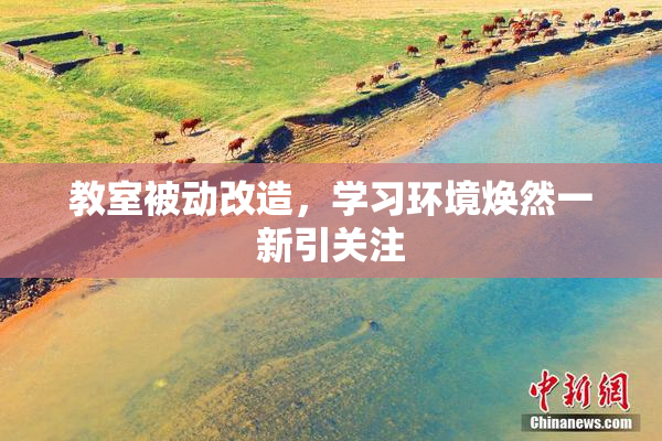 教室被动改造，学习环境焕然一新引关注