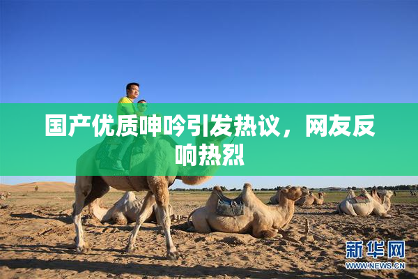 国产优质呻吟引发热议，网友反响热烈