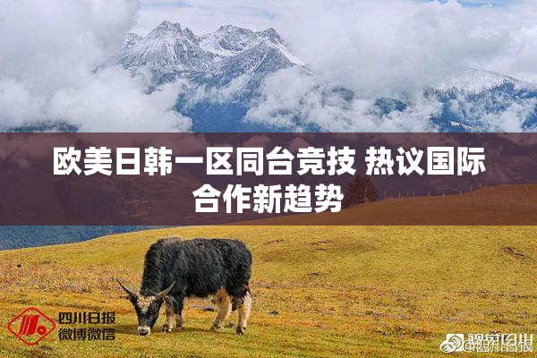欧美日韩一区同台竞技 热议国际合作新趋势