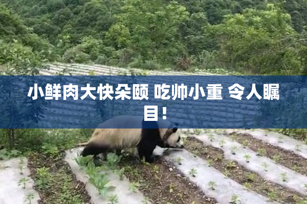 小鲜肉大快朵颐 吃帅小重 令人瞩目！