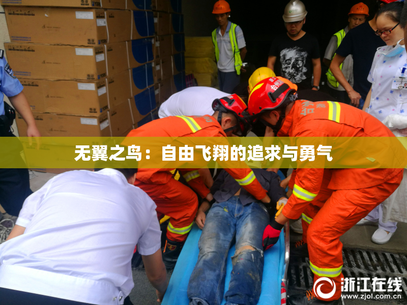 无翼之鸟：自由飞翔的追求与勇气