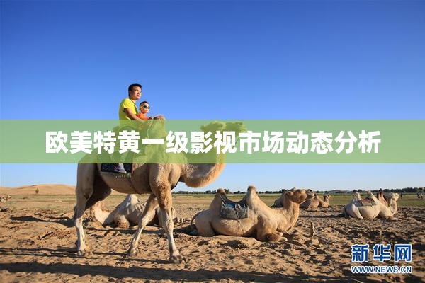 欧美特黄一级影视市场动态分析