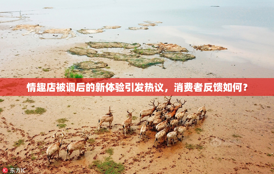 情趣店被调后的新体验引发热议，消费者反馈如何？