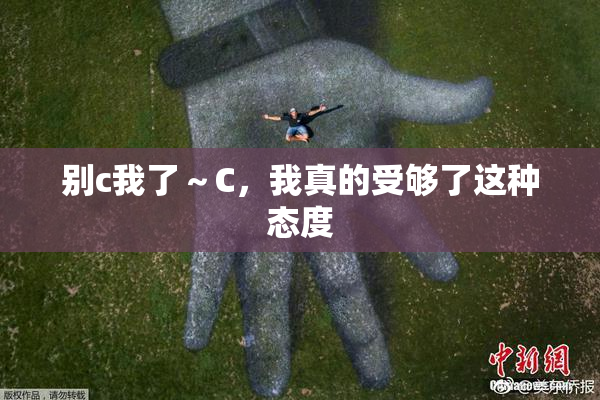 别c我了～C，我真的受够了这种态度