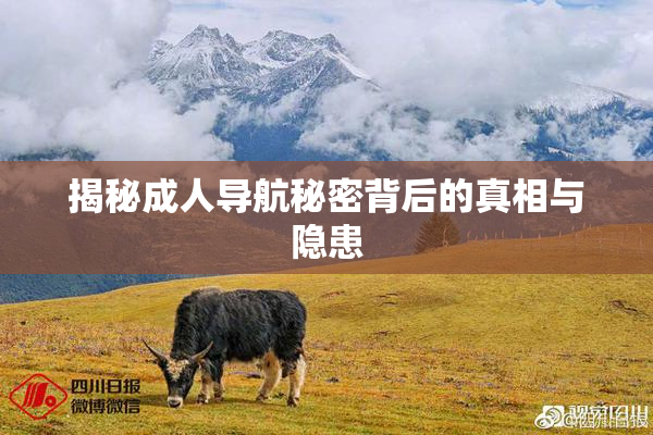 揭秘成人导航秘密背后的真相与隐患