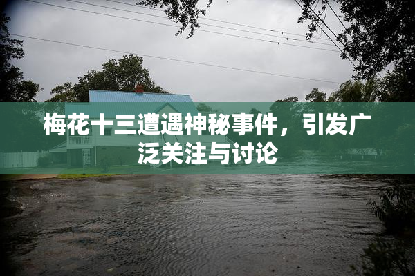 梅花十三遭遇神秘事件，引发广泛关注与讨论