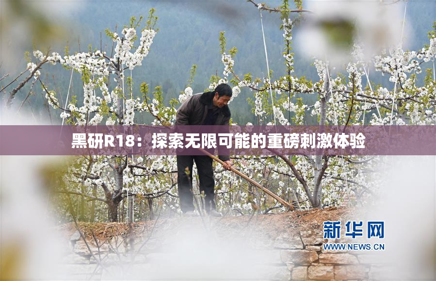 黑研R18：探索无限可能的重磅刺激体验
